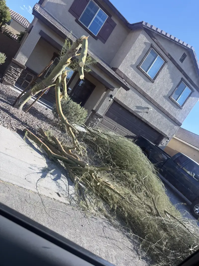 Cut tree limbs and brush piled in a driveway ready for haul-off